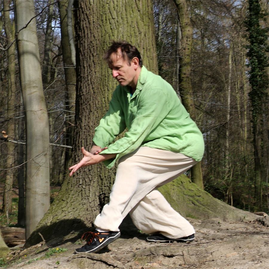 Qigong Übung Vogelschwanz