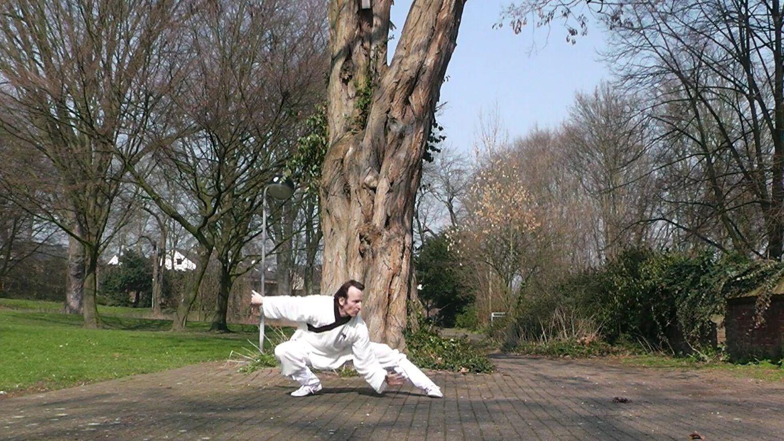 Fortgeschrittenes Tai Chi Training in Köln